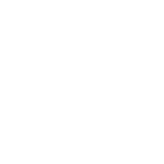 VIBRAZIONI A DETERMINATE VELOCITÀ